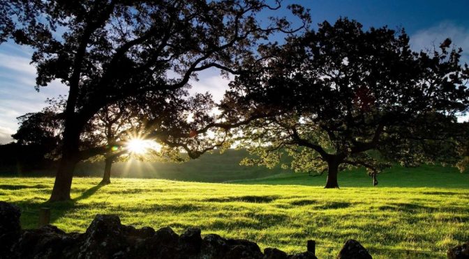 Tentang Penambahan Kalimat “SAYYIDUNAA”