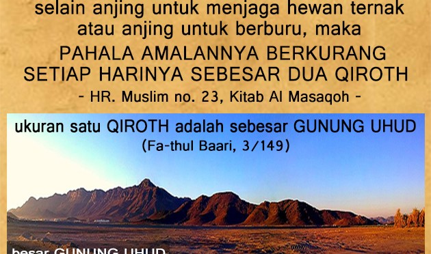 Larangan memelihara hewan anjing…