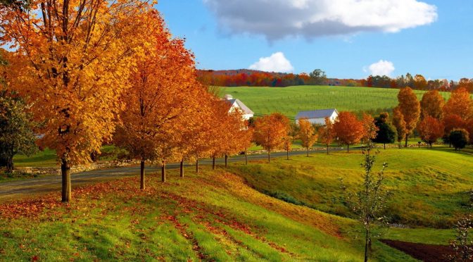 Sendirian Di Belakang Shoff