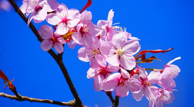 Akibat Menganggap Ringan Sebuah Dosa