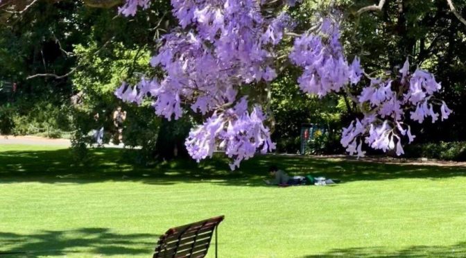 Keadaan Seorang Mukmin Setelah Beramal